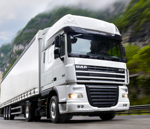 ABEFAL SHPED - International Transport
